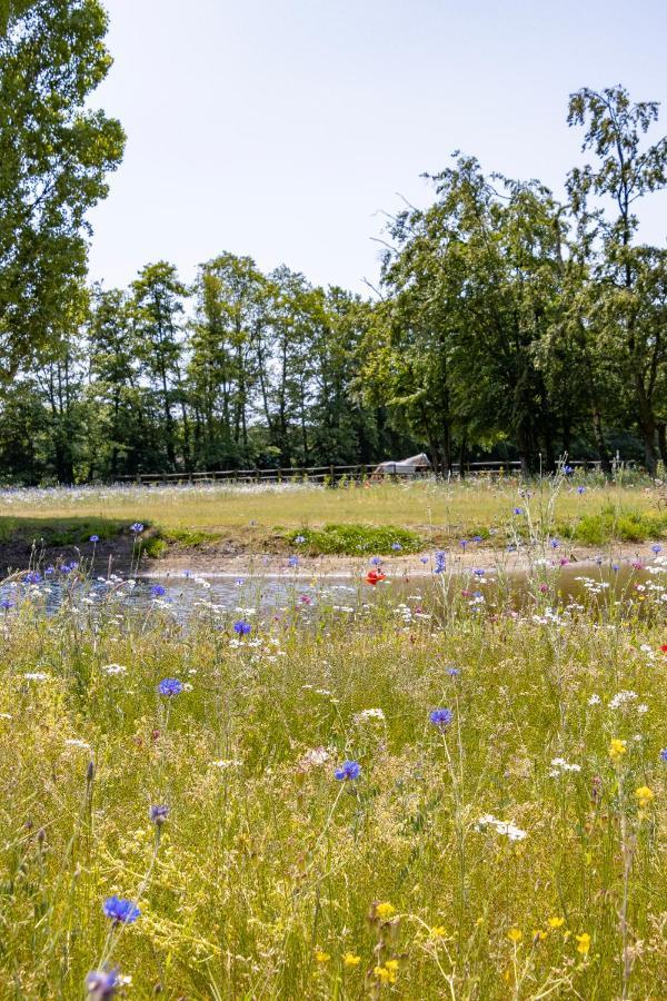 Equilodge 't Blommeke - Reconnect With Nature Villa Brügge