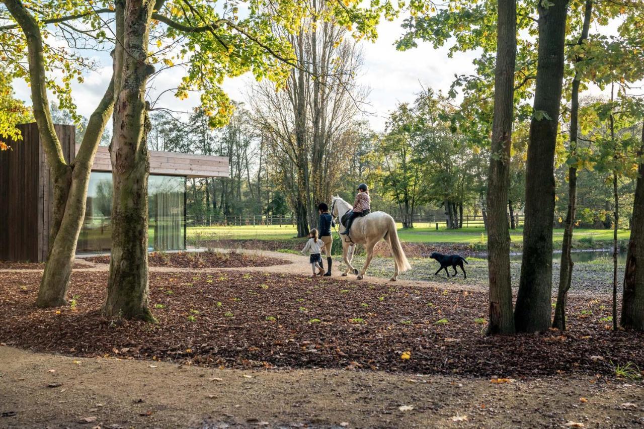 Equilodge 't Blommeke - Reconnect With Nature * Brügge