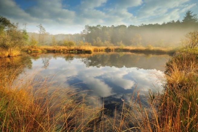 Equilodge 't Blommeke - Reconnect With Nature * Brujas